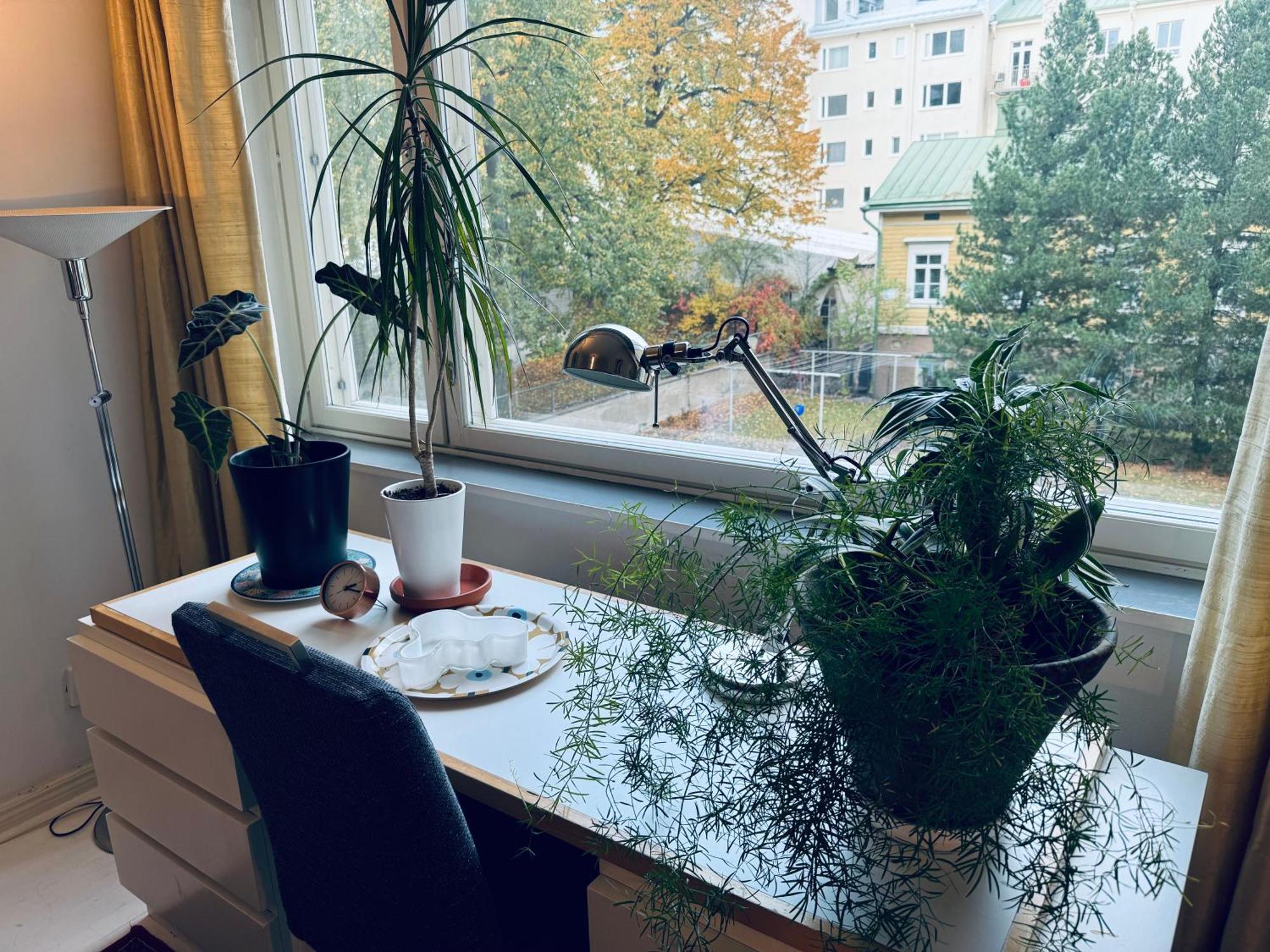 Lovely Apartment, Vuorimiehenkatu 31 Helsinki Bagian luar foto